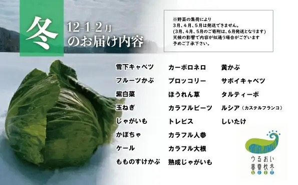 農園自慢 彩り 野菜セット（ 5品 以上?）【予約受付 6月発送開始予定】旬 野菜 詰め合わせ シェフ御用達 国産 うるおい春夏秋冬 やさい セット 岩手県 北上市 A0235 季節の野菜 西洋野菜 紫人参 丸なす 水なす 長なす とうがらし カラフル 野菜 お試し