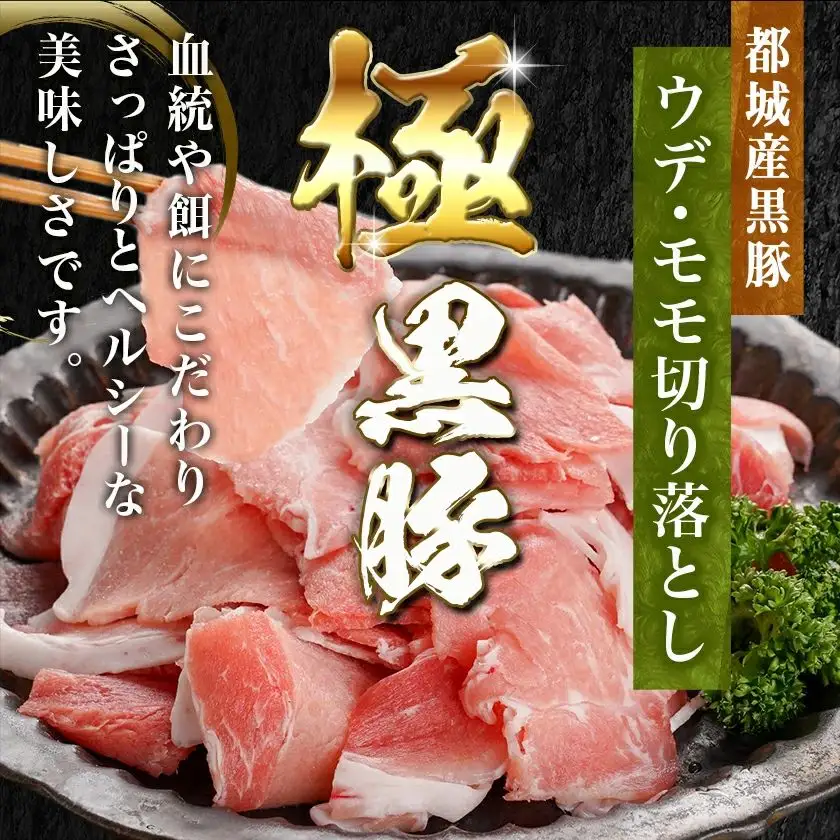 宮崎牛バラ&黒豚ウデ・モモ切り落としセット(合計1.7kg)〔MJ-N403〕_(都城市) 宮崎県産 宮崎牛 バラ(500g) 都城産 黒豚(300g×4) 小分け セット 肉じゃが カレー 炒め物 煮込み 焼き