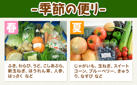 旬の新鮮な 野菜便 定期便 計4回お届け 各8～10品