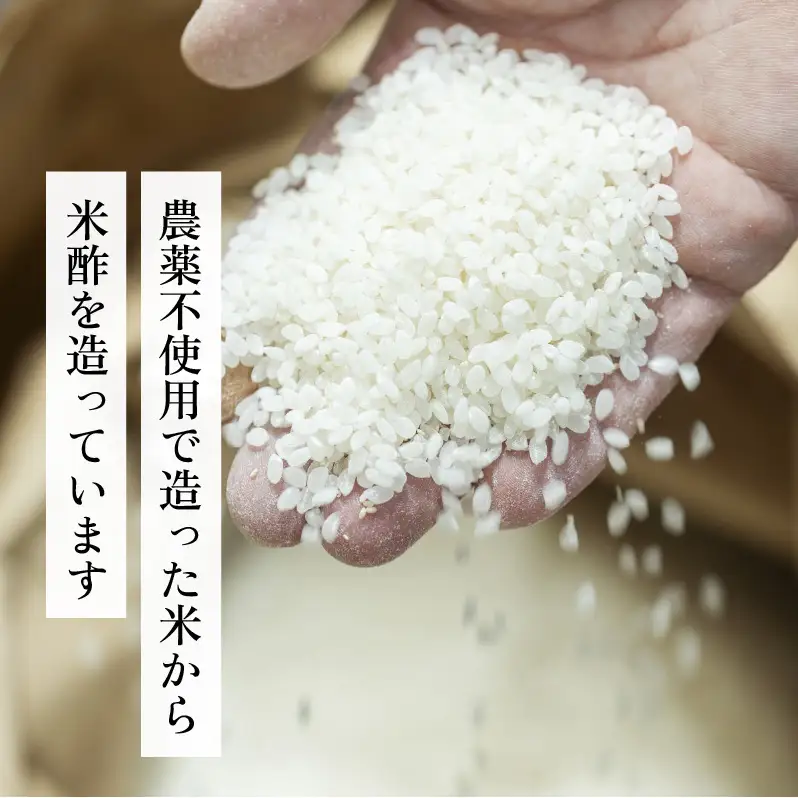 【定期便3回2ヶ月毎お届け】富士酢2本組 ギフト セットA 飯尾醸造 調味料 富士酢 お寿司 純米酢 酢漬け ドレッシング myz03 myz10 myz11 myz22