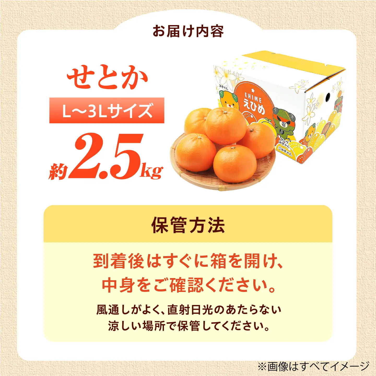 せとか L-3Lサイズ 約2.5kg フルーツ 果物 みかん BJBI006