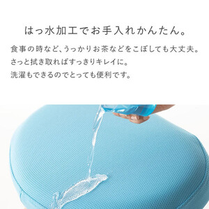 バランスイージー専用プレミアムニットカバーnew（ベージュ）はっ水加工【 チェアカバー 椅子カバー チェアカバー 椅子カバー チェアカバー 椅子カバー チェアカバー 椅子カバー 】