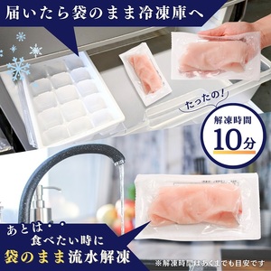 （新）国産 天然カジキ切り落とし 約100g×10パック (a10-1162)