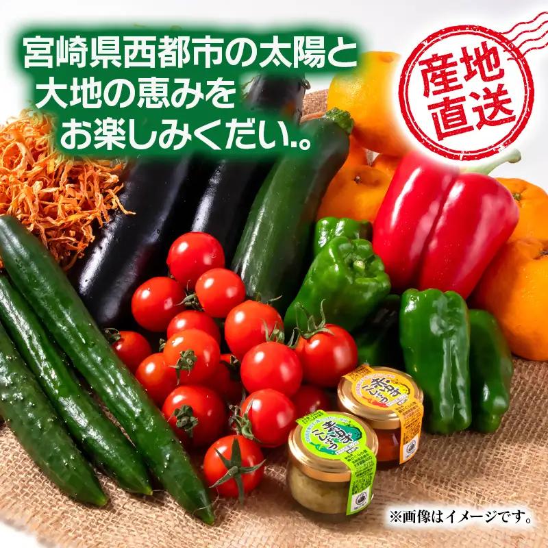 【5ヶ月定期便】西都市旬の特産詰め合わせセット 野菜・マンゴー・スイートコーン等＜32-5a＞野菜 フルーツ