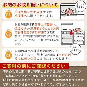 鹿児島県産 A5等級 黒毛和牛 霜降り ロース ステーキ(計600g)【KNOT】 A633-v01