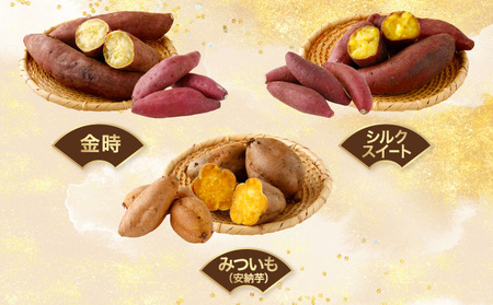 【先行予約】さつまいも食べ比べセット ３種類 合計3kg 詰め合わせ (金時さつまいも・紅はるか・シルクスイート・紫芋・フルーツこがね・ハロウィンスイート・土佐紅・みついも・紅まさり) サツマイモ さつま芋 焼き芋 やきいも 6000円 野菜