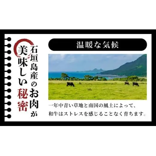 極厚!!肉汁溢れる 石垣島産《黒毛和牛100%》俵ハンバーグ 180g×4個  　 YC-8