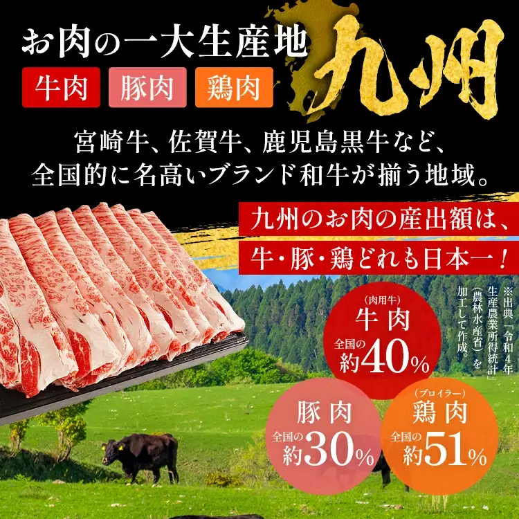 九州産黒毛和牛 肩ロース 800g 牛肉 肩ロース 牛ロース