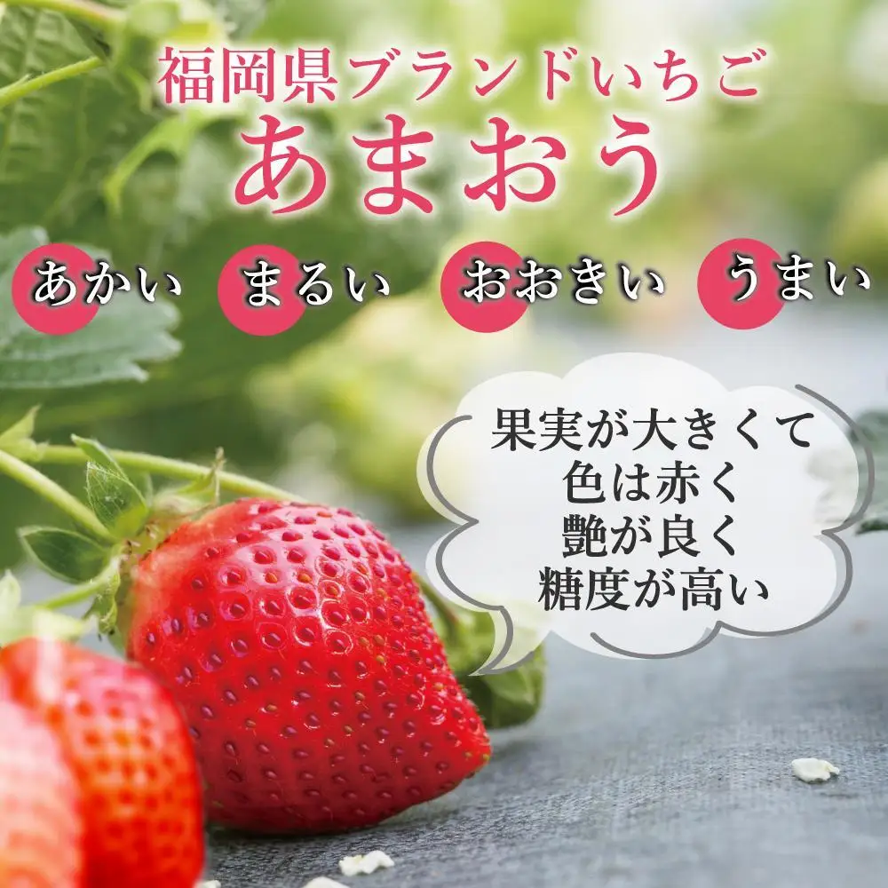 ★先行予約★いちごの王様 福岡県産博多あまおう250g×4パック【2027年2月中旬～3月順次出荷予定】