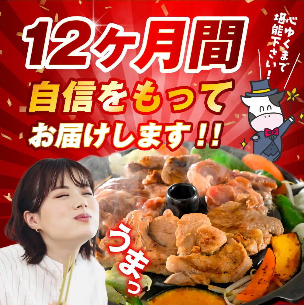 【12か月定期便】毎月違うお肉をお届け！王様シリーズバラエティセット