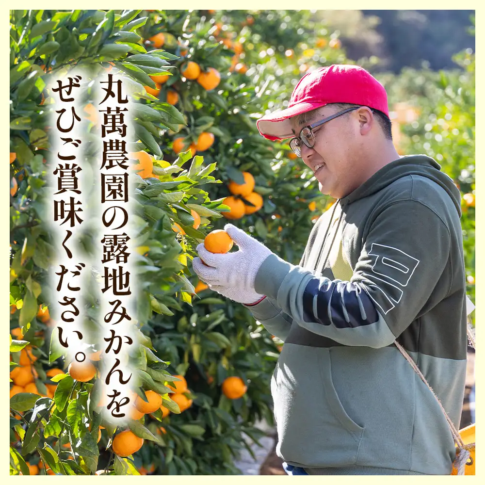 訳あり 小玉みかん 10kg みかん mn-0013 