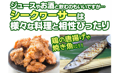 オキナワシークヮーサー100%ビター　2本セット 