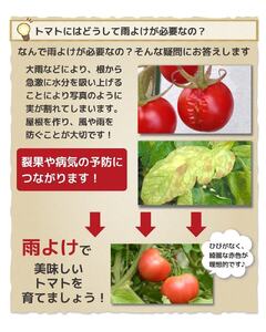 daim 組立かんたん雨よけセット ワイド2.7m 組み立て簡単！ 【棚 畑 雨除け 透明シート セット ビニール ハウス シート 雨除けシート 風よけ 風除け 鳥よけ 鳥よけシート 野菜 栽培】 [D-18409]