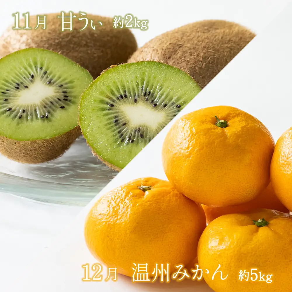 【年5回】旬のフルーツ定期便★あんずの里【随時開始】[H7032a]