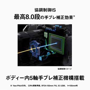 カメラ EOS R6 Mark II レンズ キット カメラ