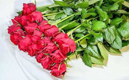 バラの花束 アマダ（赤）（40‐50本）| 花 バラ 薔薇 ローズ 生花 花束 ブーケ 赤 贈り物 プレゼント ギフト【2026年11月下旬頃迄発送予定】