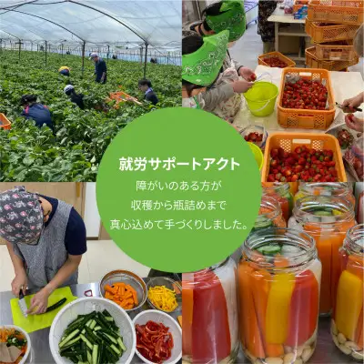 三河野菜の葵ピクルス 130g 1パック