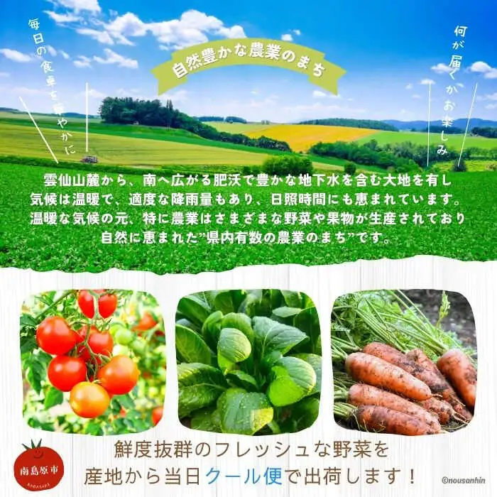 新鮮 「旬の野菜・フルーツ」 詰め合わせ セット（13品-15品）[SCB090] 野菜