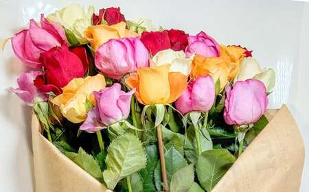 バラの花束 混合（40‐50本）| 花 バラ 薔薇 生花 ローズ 花束 ブーケ 贈り物 プレゼント ギフト【2026年11月下旬頃迄発送予定】