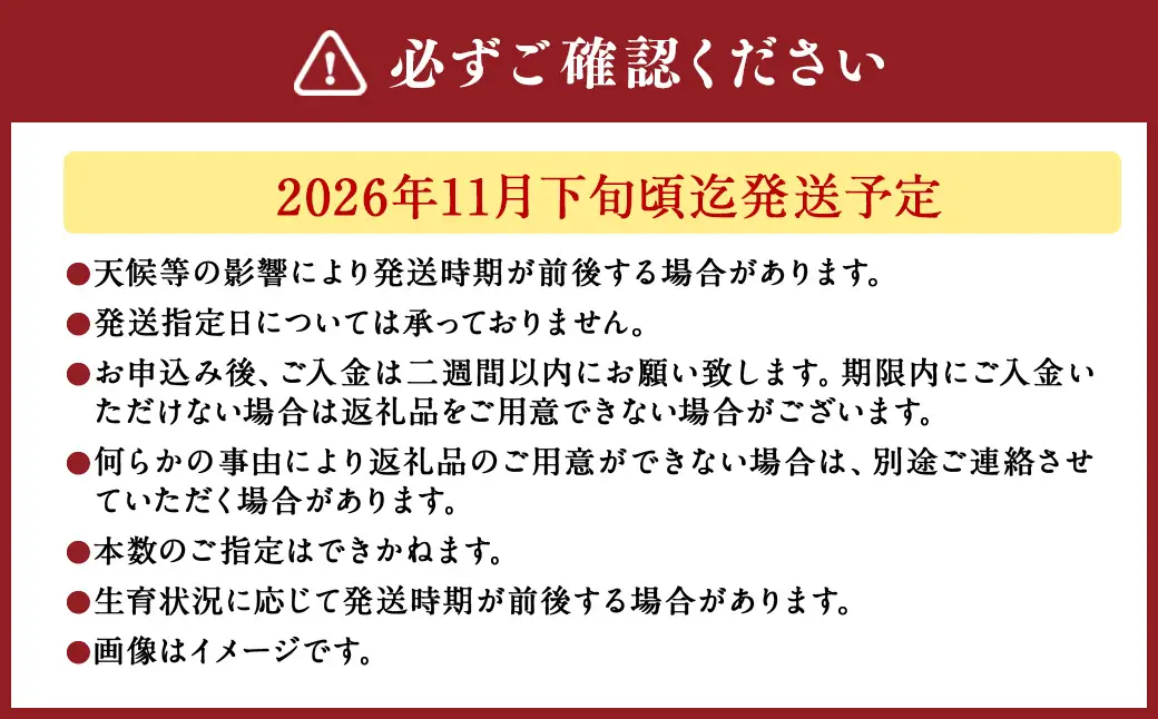 ブルーローズ（花束） 5本 | 花 バラ 薔薇 ローズ 生花 花束 ブーケ 青 贈り物 プレゼント ギフト【2026年11月下旬頃迄発送予定】