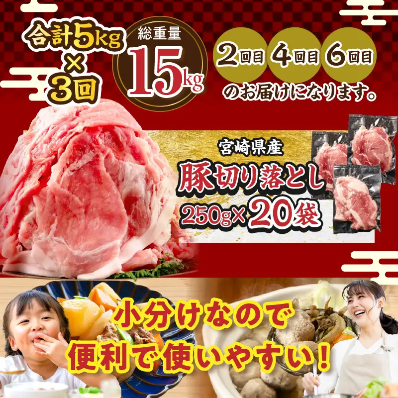 数量限定 6か月 お楽しみ 定期便 豚肉 鶏肉 ミンチ 豚 切り落とし セット 総重量30kg 6回 国産 おかず 食品 ひき肉 挽肉 万能食材 鍋 つくね ハンバーグ 豚丼 お祝 記念日 おすすめ お弁当 おつまみ 小分け 個包装 冷凍 おすそ分け 宮崎県 日南市 送料無料_MH2-24