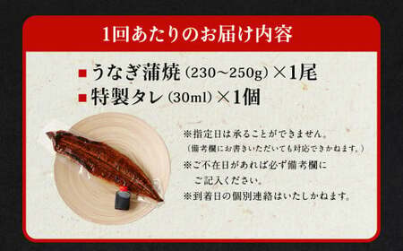 【隔月3回定期便】国産 うなぎ 蒲焼 1尾 （230g～250g）と 特製 タレ 1個 セット 