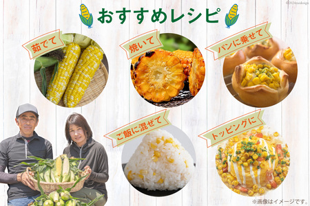 BI206【令和9年度出荷分】とうもろこし スイートコーン ホワイト 2L〜3Lサイズ 10本〜12本 約5kg