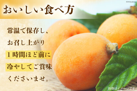 BI209 【令和9年度出荷分】赤秀 長崎 びわ 500g 温室ハウス栽培 長崎早生
