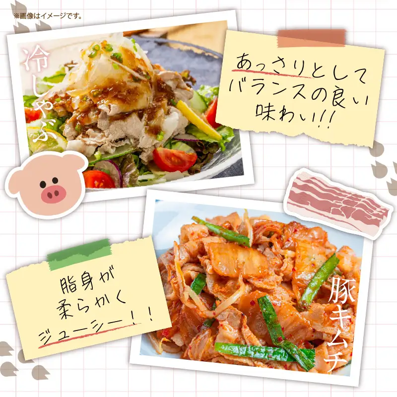 数量限定 6か月 お楽しみ 定期便 小分けで便利 豚 切り落とし 総重量18kg お肉 豚肉 国産 小分け 真空パック 個包装 万能食材 おすすめ おかず 食品 お弁当 豚丼 しゃぶしゃぶ お祝い 記念日 宮崎県 日南市 送料無料_KD1-24