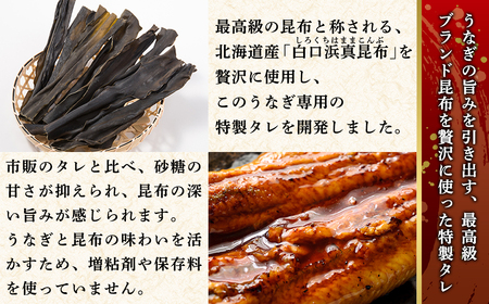 【2026年6月下旬発送】 国産 うなぎ 蒲焼き2尾 タレ付き