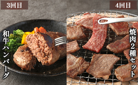【6回定期便】鹿児島黒毛和牛 バラエティセット 焼肉 すき焼き ステーキ バラスライス 和牛ミンチ ハンバーグ 鹿児島牛 鹿児島黒毛和牛 黒毛和牛 ロース カルビ バラ 冷凍 定期便 6回