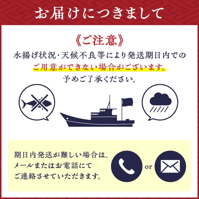 鹿児島産 キビナゴ刺身 40尾 4人前 K100-010 魚 冷凍