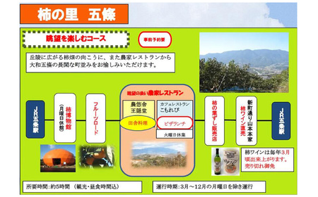 【１日コース（12時間）】ジャンボタクシーで回る五條市観光（4名～9名） | タクシー 観光 市内観光 神社仏閣巡り 五條市
