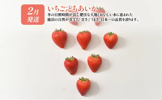 【 定期便 2回 】 大玉な梨 にっこり 2玉 約2kg と いちご市 鹿沼の 美味しい「い」「ち」「ご」とちあいか 15粒入り320g 2パック のフルーツ 定期便 ｜ 梨 いちご 鹿沼市 かぬま ※2026年10月～発送