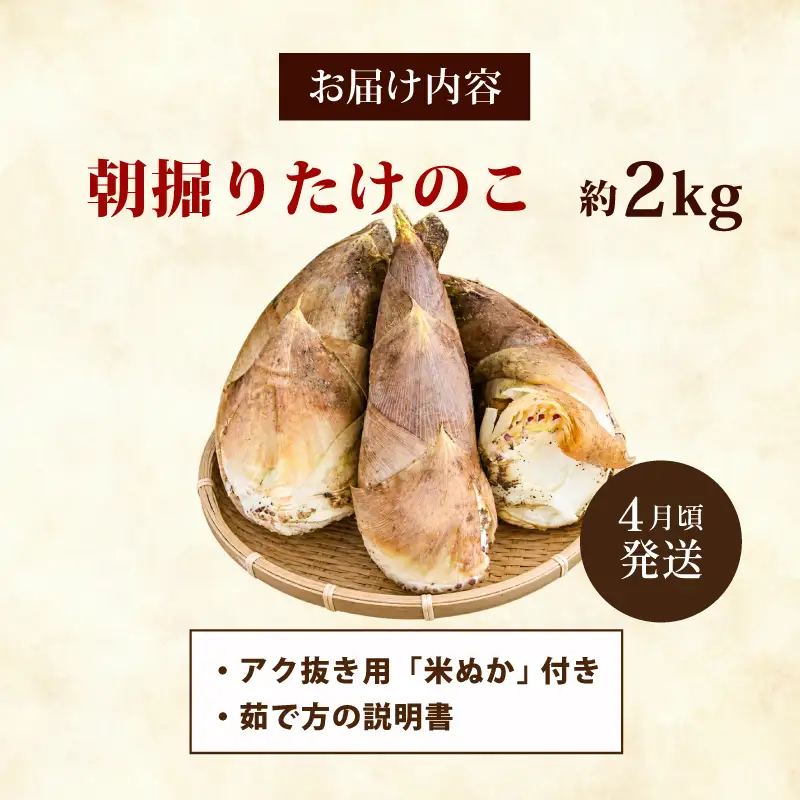 京都山城産 朝掘りたけのこ 約 2kg (4月発送) たけのこ 