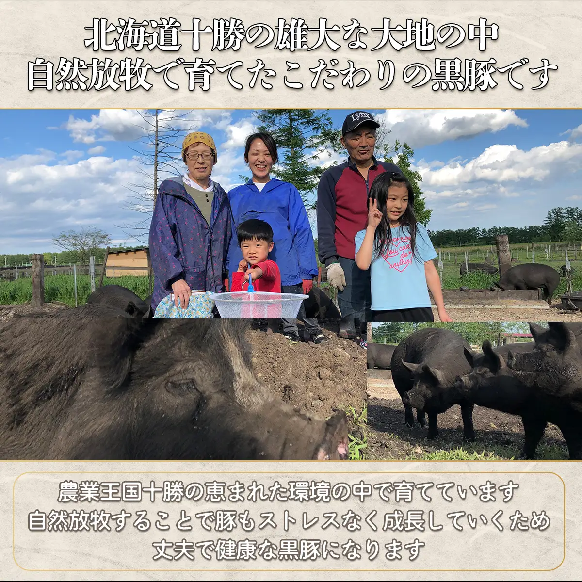 十勝鹿追町産　自然放牧黒豚　圧巻の豚肉　しゃぶしゃぶ肉と切り落とし＆ひき肉のセット （2100ｇ）定期便12回　SKN016 【 北海道  送料無料 】 
