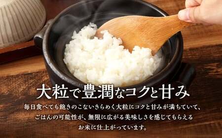 【新米受付・令和8年産米】空舞米　新潟県村上市 岩船産 新之助 精米 4kg（2kg×2袋）1063006N