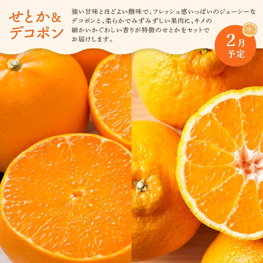 【定期便全3回】冬のいいとこどり定期便（12・1・2月） | フルーツ