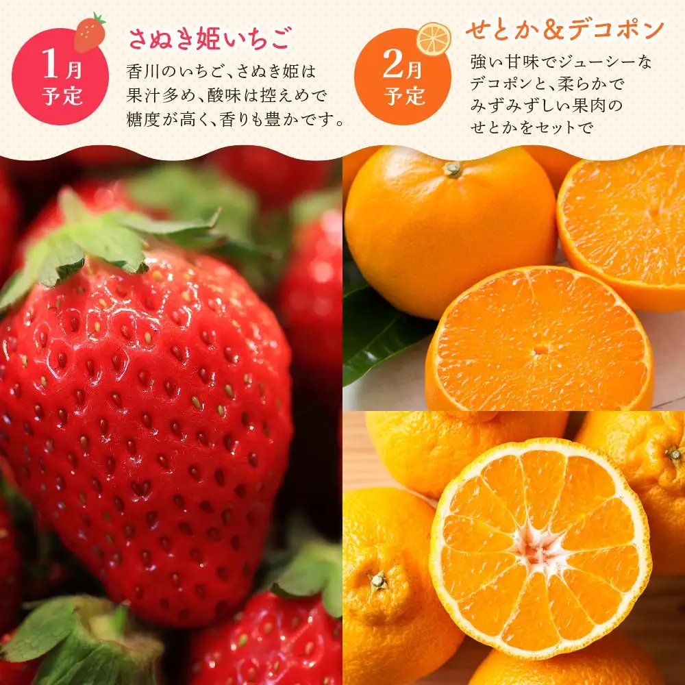 【定期便全6回】高松市のいいとこどり定期便（7・8・9・12・1・2月） | フルーツ