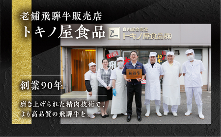 【定期便】飛騨牛 三昧 定期便 5回 飛騨牛 トキノ屋食品 [mt1729]