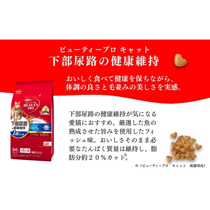 キャットフード ビューティプロ 機能性 セット キャットフード