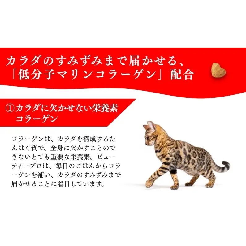 日本ペットフード ビューティープロ キャット 避妊・去勢後用 1.4kg（280g×5袋入）×8袋（ケース） キャットフード