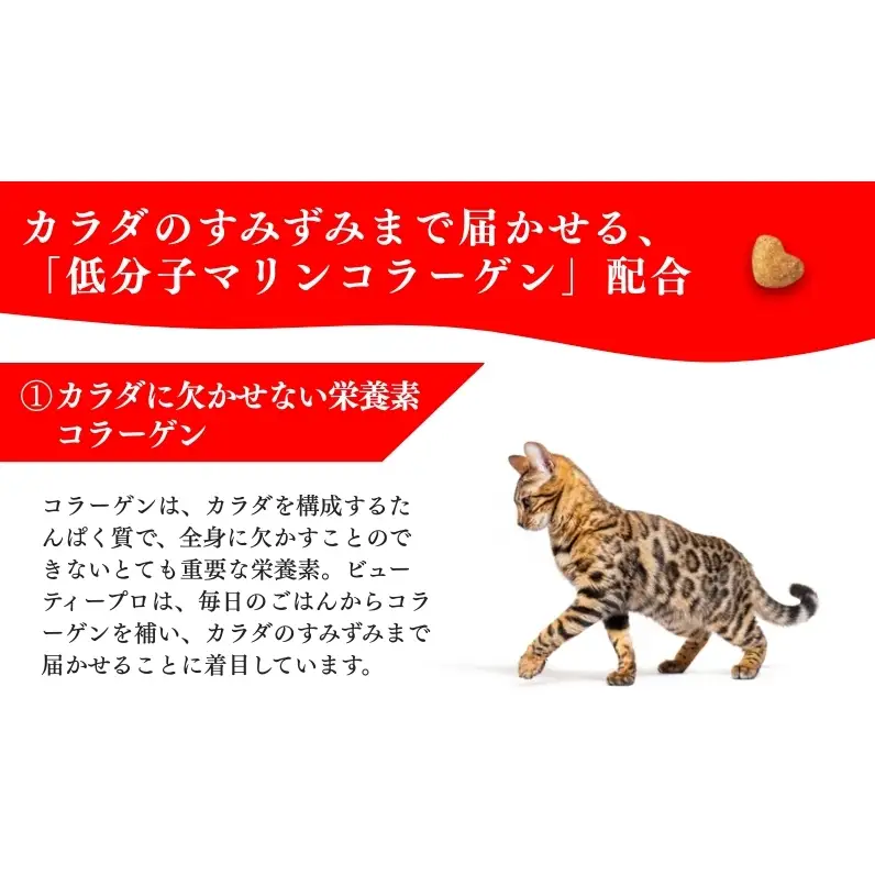 キャットフード ビューティープロ 下部尿路の健康維持 キャットフード