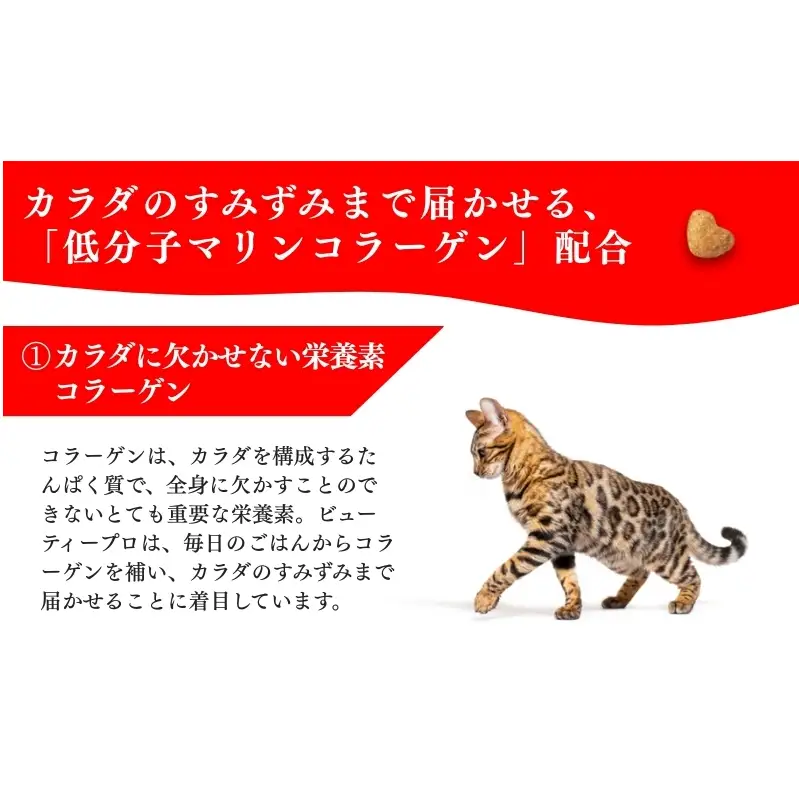 キャットフード ビューティープロ 下部尿路の健康維持 キャットフード