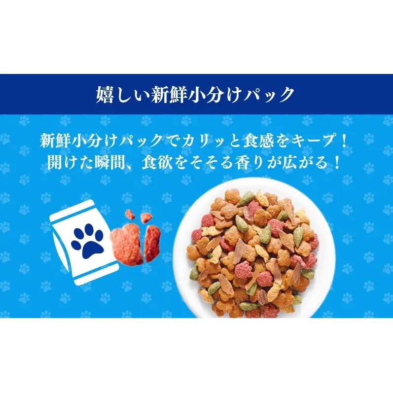 キャットフード コンボ 下部尿路の健康維持 600g キャットフード