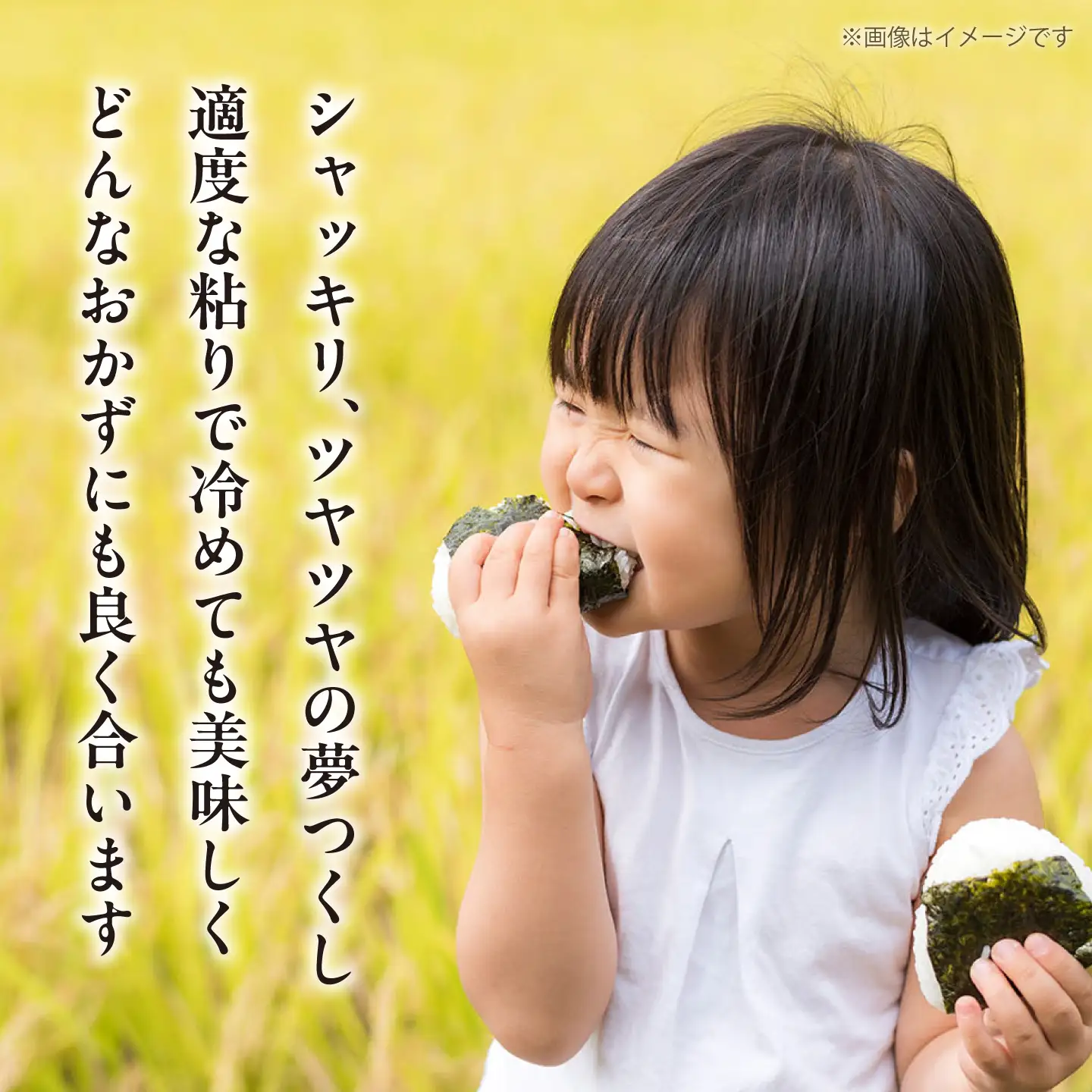【新米】求菩提米 夢つくし 10kg (5kg×2袋)  VCO004 新米
