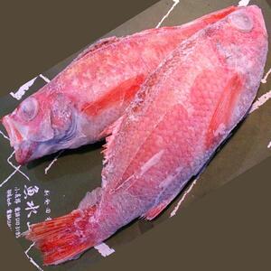朝どれのどぐろ 約1000g以上 のどぐろのどぐろのどぐろのどぐろのどぐろ uomizushima009_01