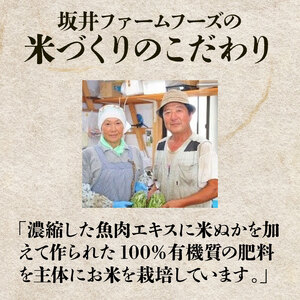 令和7年産 新潟県産 コシヒカリ 10kg (5kg×2袋) 坂井ファーム 特別栽培米コシヒカリ 新潟 新発田 米 玄米 精米 白米 ご飯 おにぎり 弁当 こしひかり おこめ せいだ 新潟 新発田 D34_04