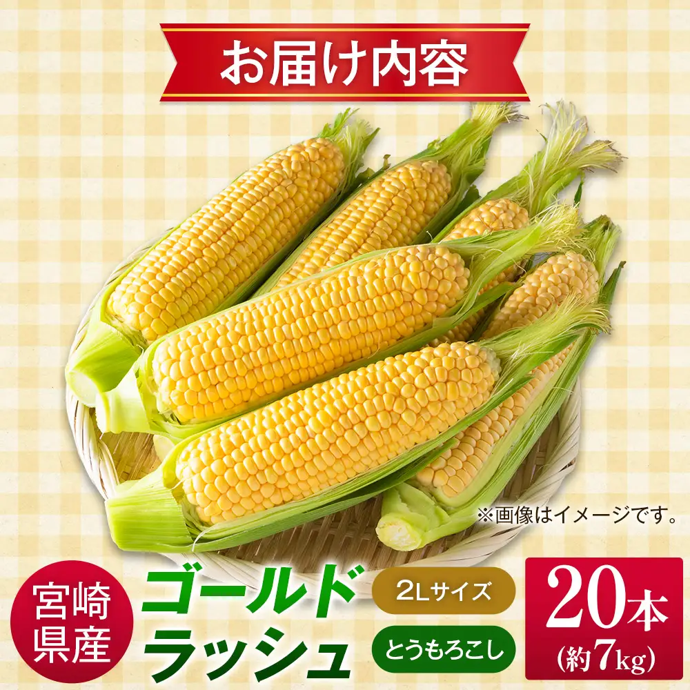 2027年出荷 ゴールドラッシュ とうもろこし 7kg（2Lサイズ×20本）B426-27