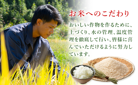 令和7年産 米 にこまる 約10kg (10kg×1袋) こめ コメ 白米 西川農園《30日以内に出荷予定(土日祝除く)》 熊本県 荒尾市 米 白米 こめ 